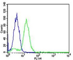 BCL10 Antibody [KO/KD Validated]