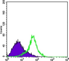 Metadherin Mouse Monoclonal Antibody