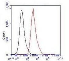SMAD5 Mouse Monoclonal Antibody