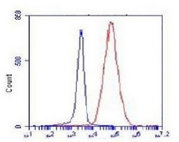 COX4-1 Mouse Monoclonal Antibody
