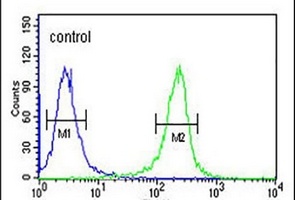 FAN1 Rabbit Polyclonal Antibody