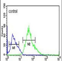 CORO6 Rabbit Polyclonal Antibody