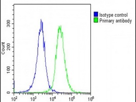 ATP1A4 Rabbit Polyclonal Antibody