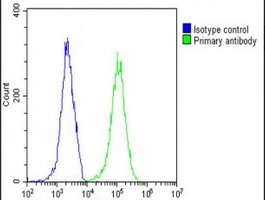 BIRC6 Rabbit Polyclonal Antibody