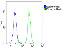 MVB12A Antibody