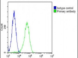 PGAP1 Antibody