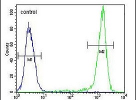 SGMS2 Rabbit Polyclonal Antibody