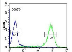 DLK2 Antibody