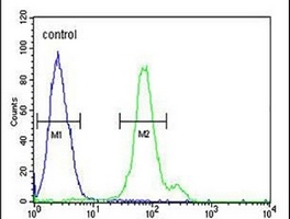 CTPS2 Rabbit Polyclonal Antibody
