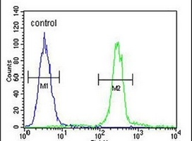 CTHRC1 Antibody