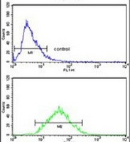 ZNF823 Rabbit Polyclonal Antibody