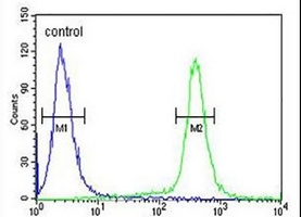 ESPN Rabbit Polyclonal Antibody
