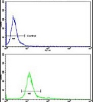CTDP1 Rabbit Polyclonal Antibody