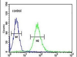 Adenylate Cyclase 10 Rabbit Polyclonal Antibody