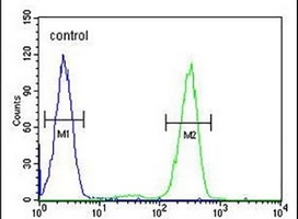 AFTPH Antibody