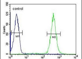 APOBEC2 Rabbit Polyclonal Antibody