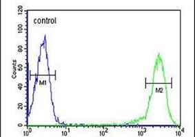 Calcitonin Receptor Rabbit Polyclonal Antibody