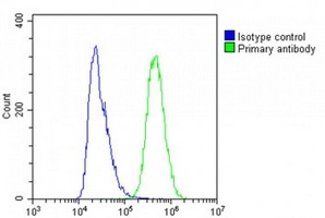 IFITM5 Rabbit Polyclonal Antibody