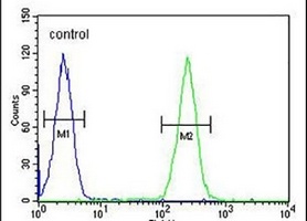 BCORL1 Rabbit Polyclonal Antibody