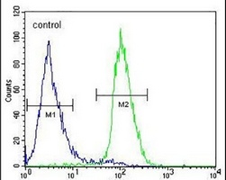 CIART Rabbit Polyclonal Antibody