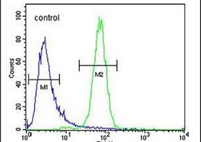 C6orf58 Rabbit Polyclonal Antibody