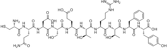 Collagen Binding Fragment peptide