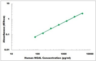 Human NGAL ELISA Kit