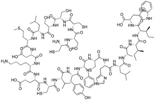 Human [Ala18] Endothelin 1 peptide