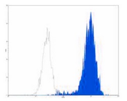 CD15 Mouse Monoclonal Antibody