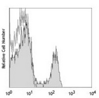 CD4 Rat Monoclonal Antibody