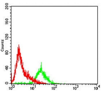 XPC Mouse Monoclonal Antibody