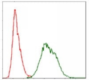 UBB Mouse Monoclonal Antibody