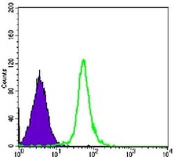 SMC1A Mouse Monoclonal Antibody