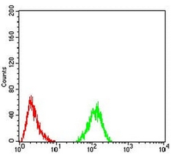RAD50 Mouse Monoclonal Antibody