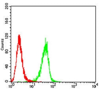 TIP47 Mouse Monoclonal Antibody