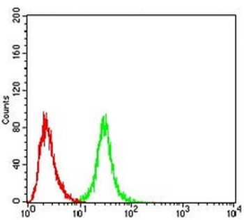 OTUD4 Mouse Monoclonal Antibody