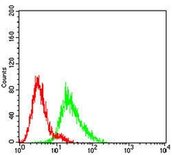 Neuroglobin Mouse Monoclonal Antibody