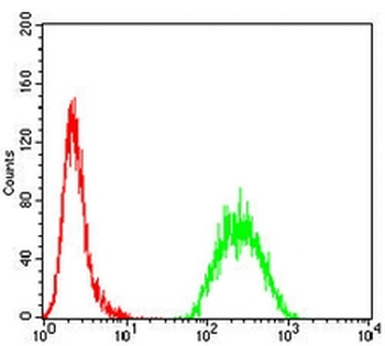 MSH6 Mouse Monoclonal Antibody