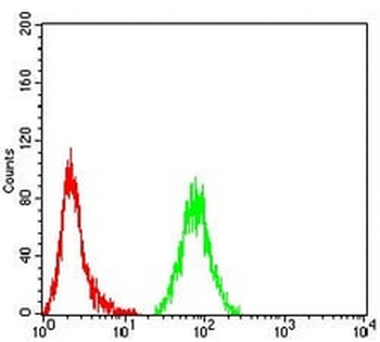 MSH6 Mouse Monoclonal Antibody