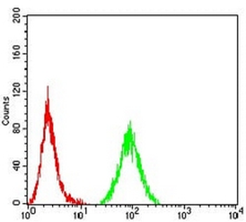 CD44 Mouse Monoclonal Antibody