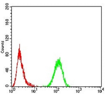 HP1 alpha Mouse Monoclonal Antibody