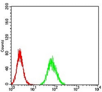 Calretinin Mouse Monoclonal Antibody