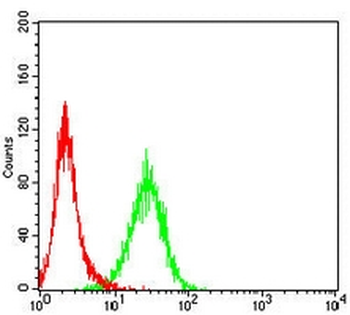CD88 Mouse Monoclonal Antibody
