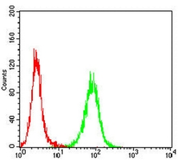 BCL6 Mouse Monoclonal Antibody