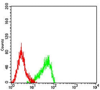 ATP5A1 Mouse Monoclonal Antibody