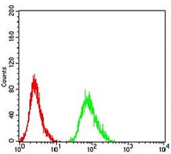 Beta-2 Adrenergic Receptor Mouse Monoclonal Antibody