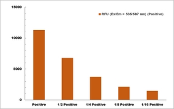 Pyruvate Oxidase Activity Fluorometric Microplate Assay Kit