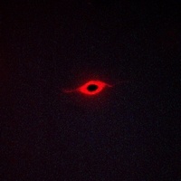 5-HT2C Rabbit Polyclonal Antibody