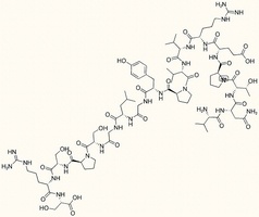 Big Endothelin-1 (22-39)
