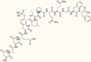 EGF Receptor Substrate 1